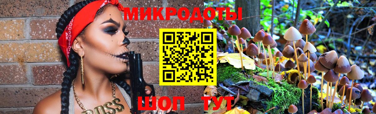 Галлюциногенные грибы мицелий Михайловка